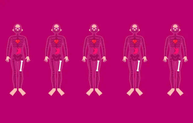 anatomy