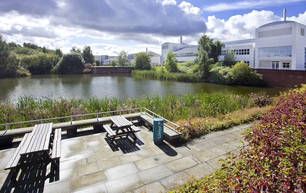 lakeside