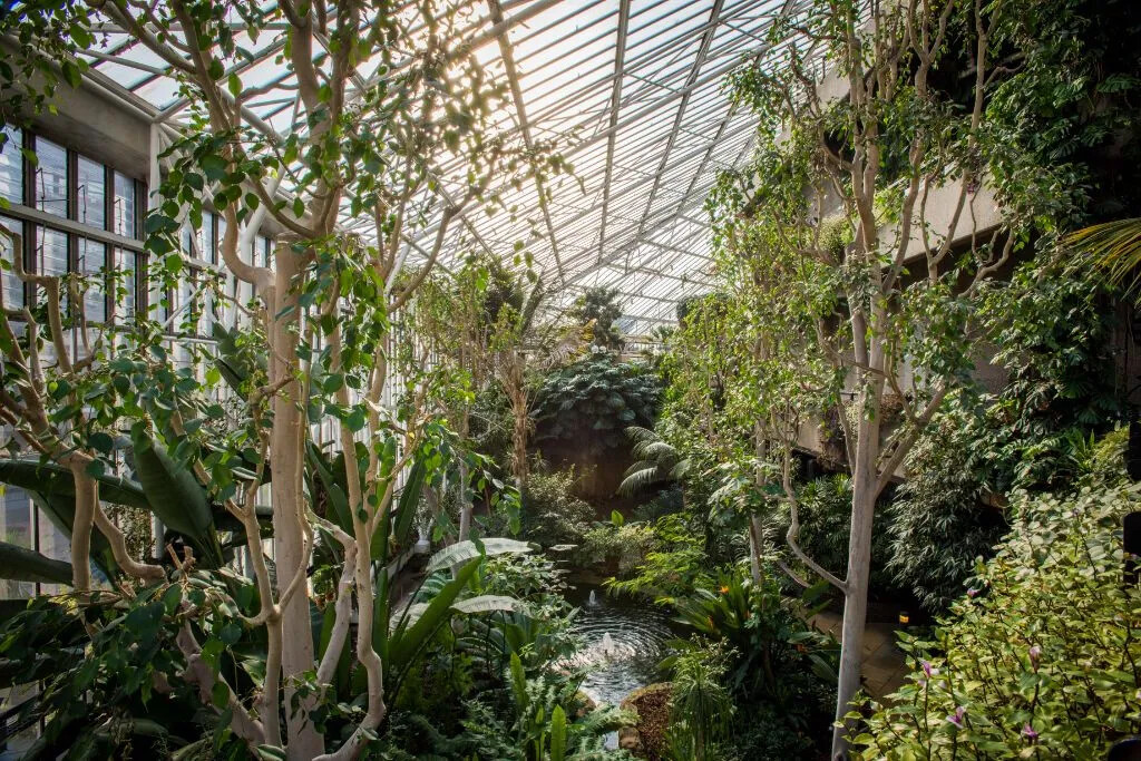 Conservatory, Barbican Centre, CREDIT Max Colson