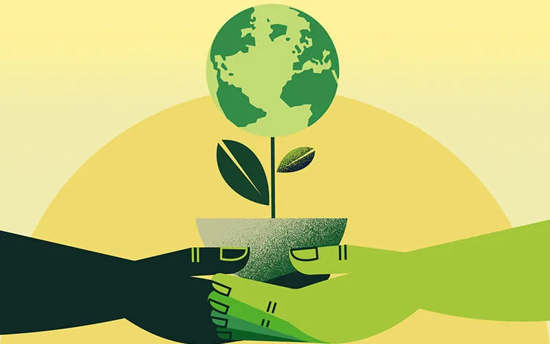 Hands holding earth plant