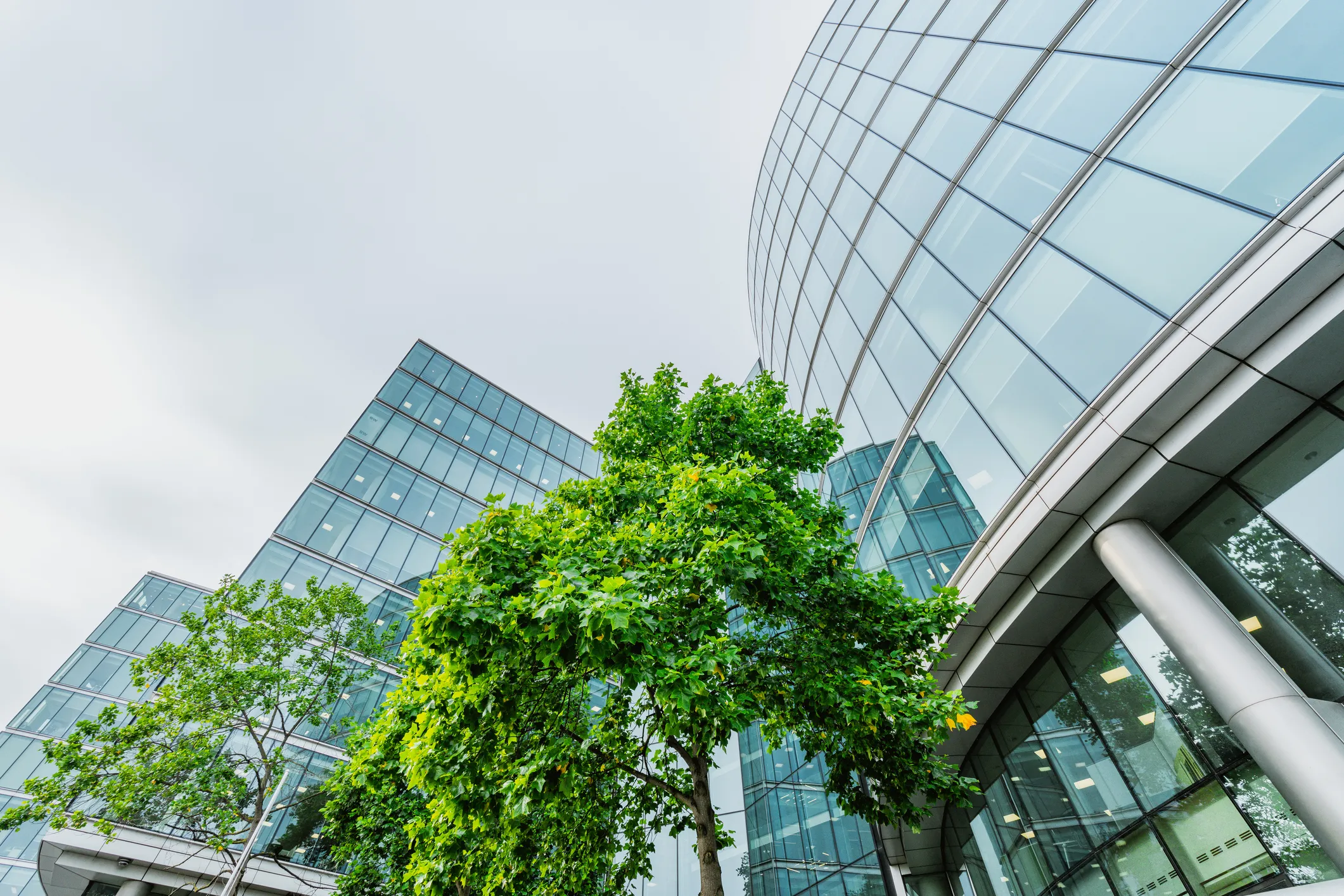 Glass windowed building venue, exterior view with green trees surrounding