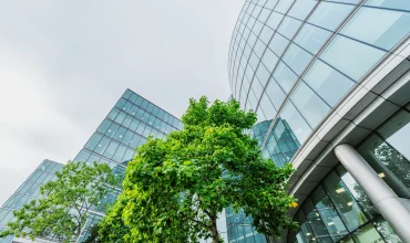 Glass windowed building venue, exterior view with green trees surrounding